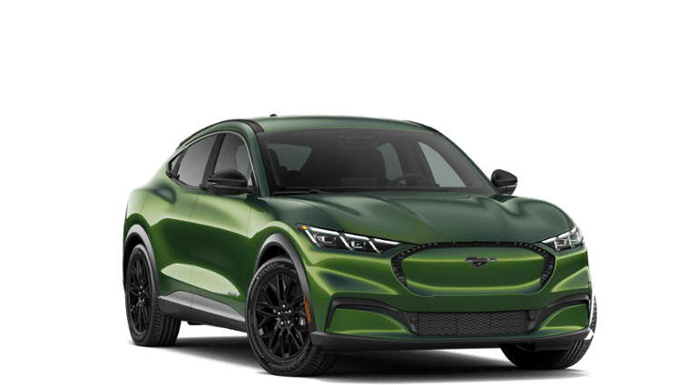Mustang Mach-E® vehicle